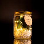 The Light That Led Me - Image 3